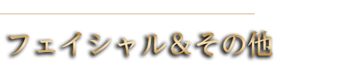 フェイシャルエステコース