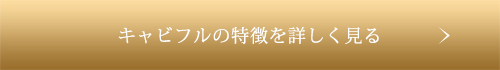 キャビフルの特徴を詳しく見る